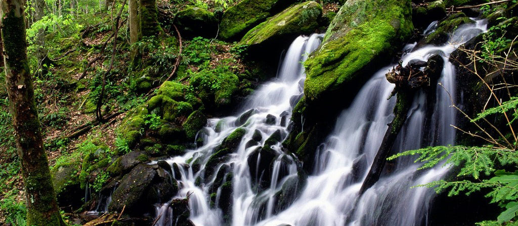 Water
